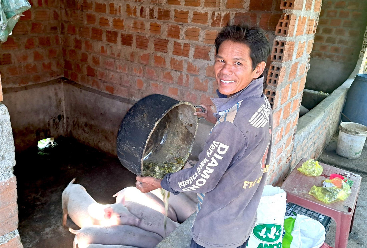 Chồng bà Nay Hyơk chăm sóc đàn lợn để bán lấy tiền chuộc ruộng