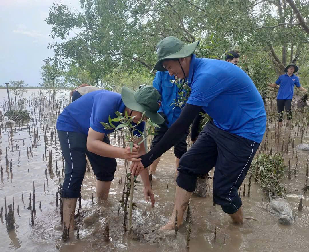 Đoàn viên thanh niên xã An Hiệp (Ba Tri, Bến Tre) trồng bần để hạn chế sạt lở tại cồn Đất Đoàn viên thanh niên xã An Hiệp (Ba Tri, Bến Tre) trồng bần để hạn chế sạt lở tại cồn Đất