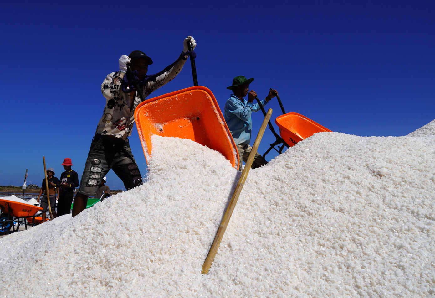 Diêm dân vất vả làm ra hạt muối nhưng giá cả bấp bênh