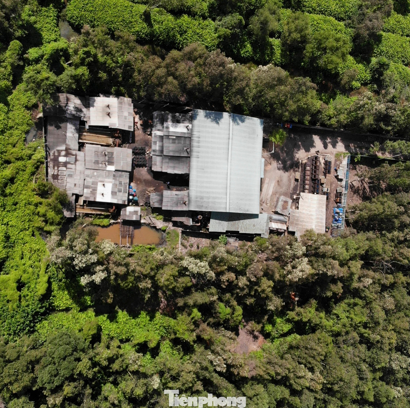 Cơ sở tái chế nhớt thải lọt thỏm giữa rừng chàm