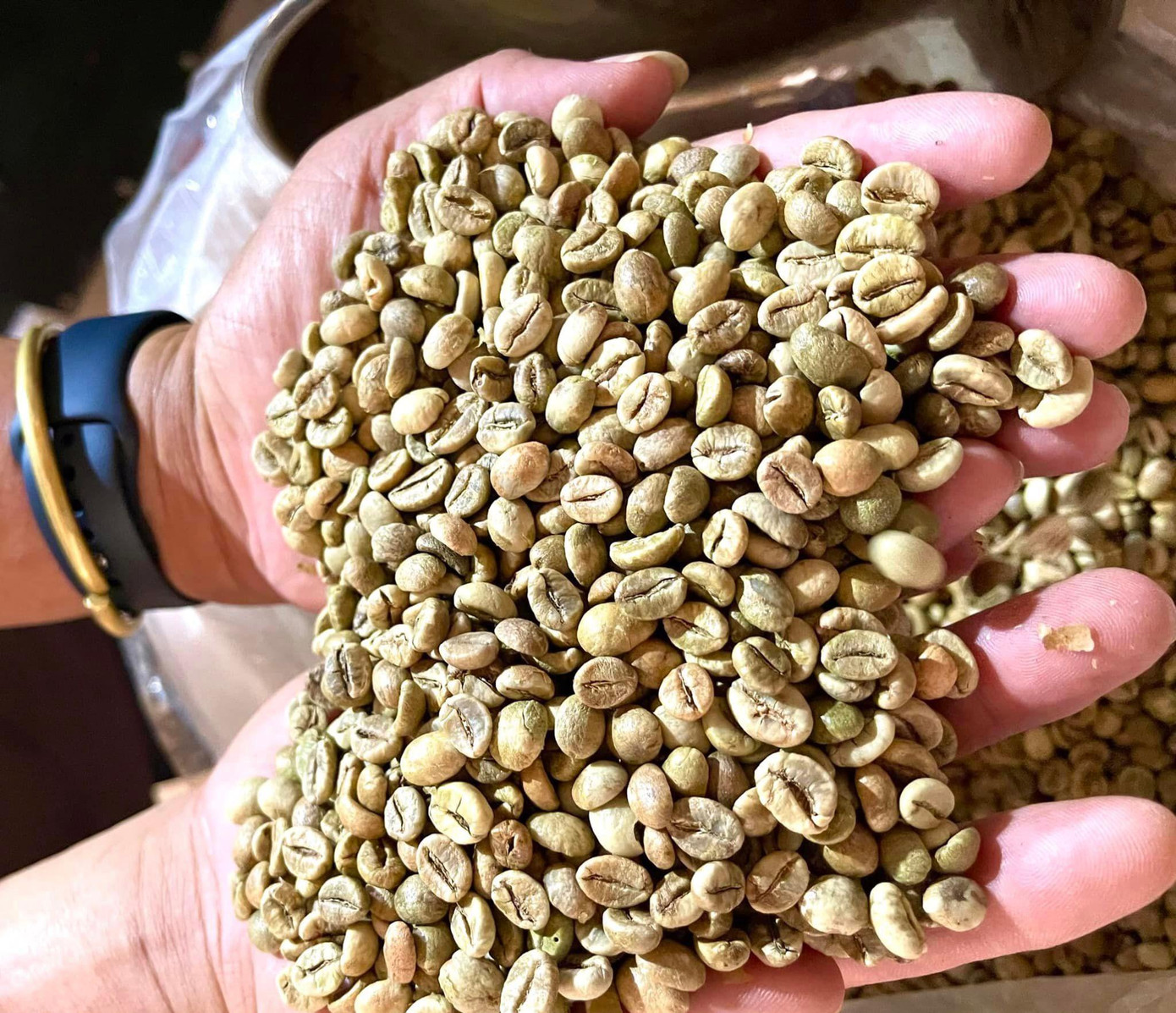 Buôn Ma Thuột đang hướng tới thành phố cà phê của thế giới Buôn Ma Thuột đang hướng tới thành phố cà phê của thế giới