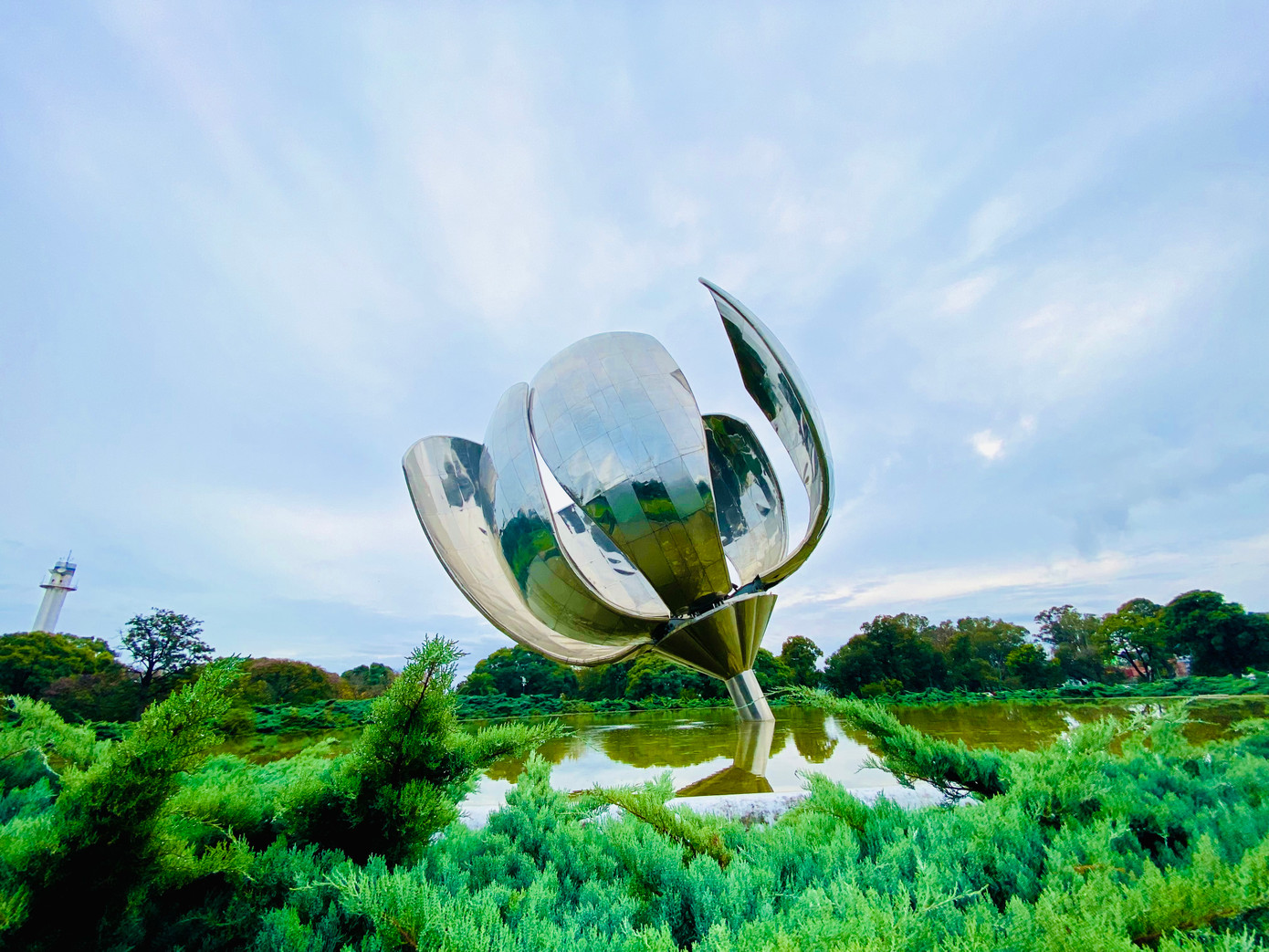 Bông hoa thép Floralis Genérica trong công viên