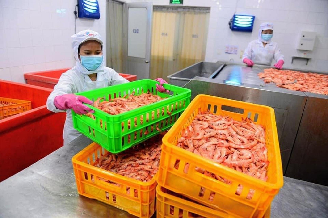 DN gặp khó khi cước phí vận tải biển tăng cao. Ảnh: Uyên Phương