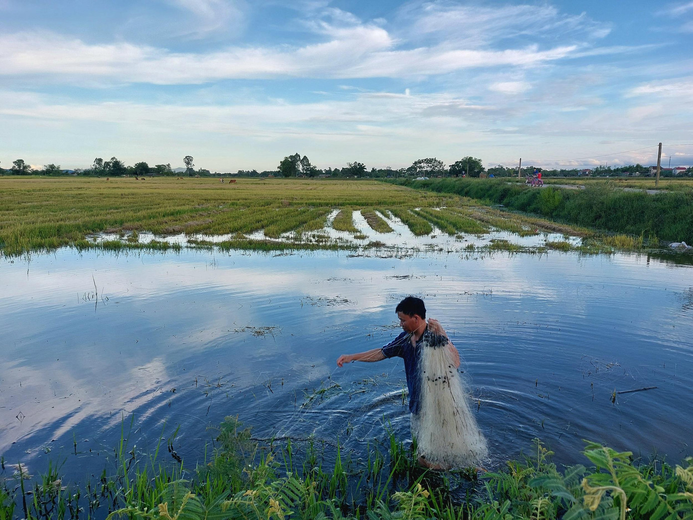 Anh Tuấn gỡ lưới Anh Tuấn gỡ lưới