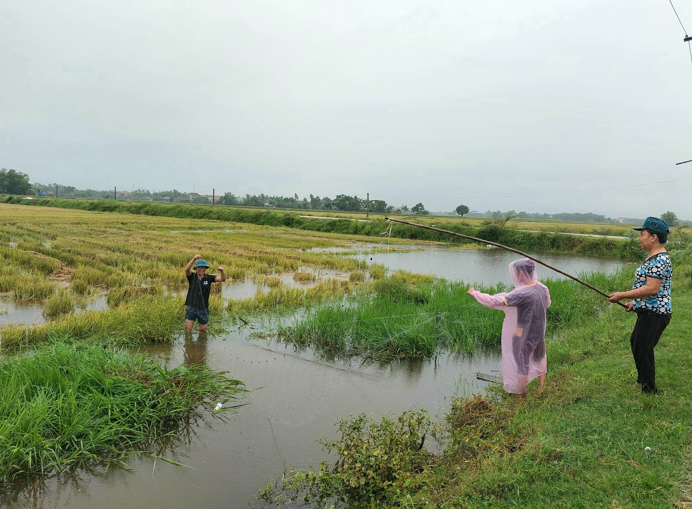 Người dân xã Vượng Lộc giăng lưới bắt cá mùa mưa lũ Người dân xã Vượng Lộc giăng lưới bắt cá mùa mưa lũ