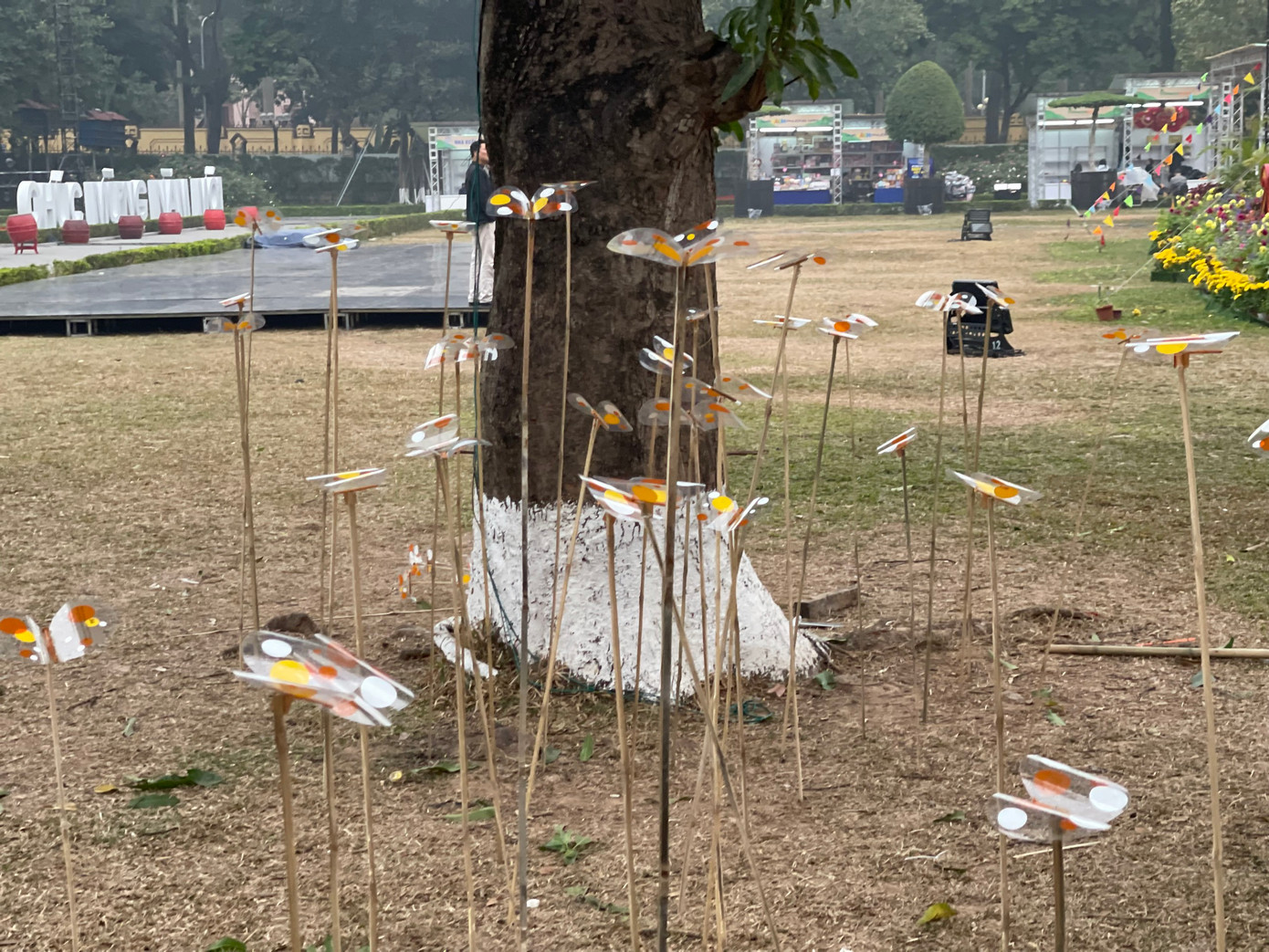 Cây thơ có đố thơ. Câu đố dán trên cánh bướm Ảnh: N.H.D