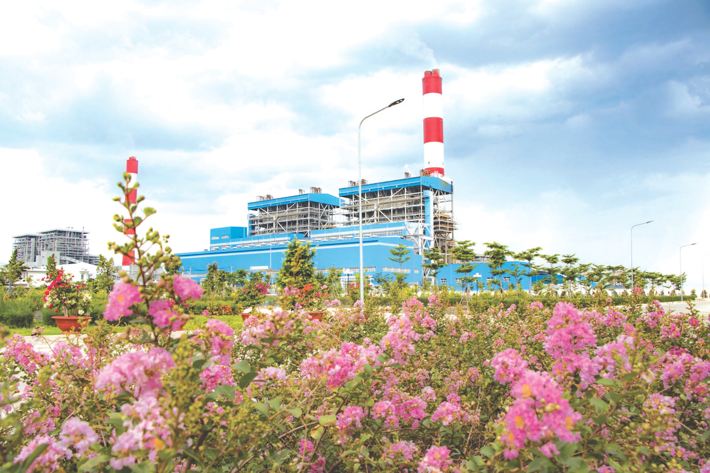 Môi trường xung quanh kho than được phủ xanh như một công viên giữa nhà máy