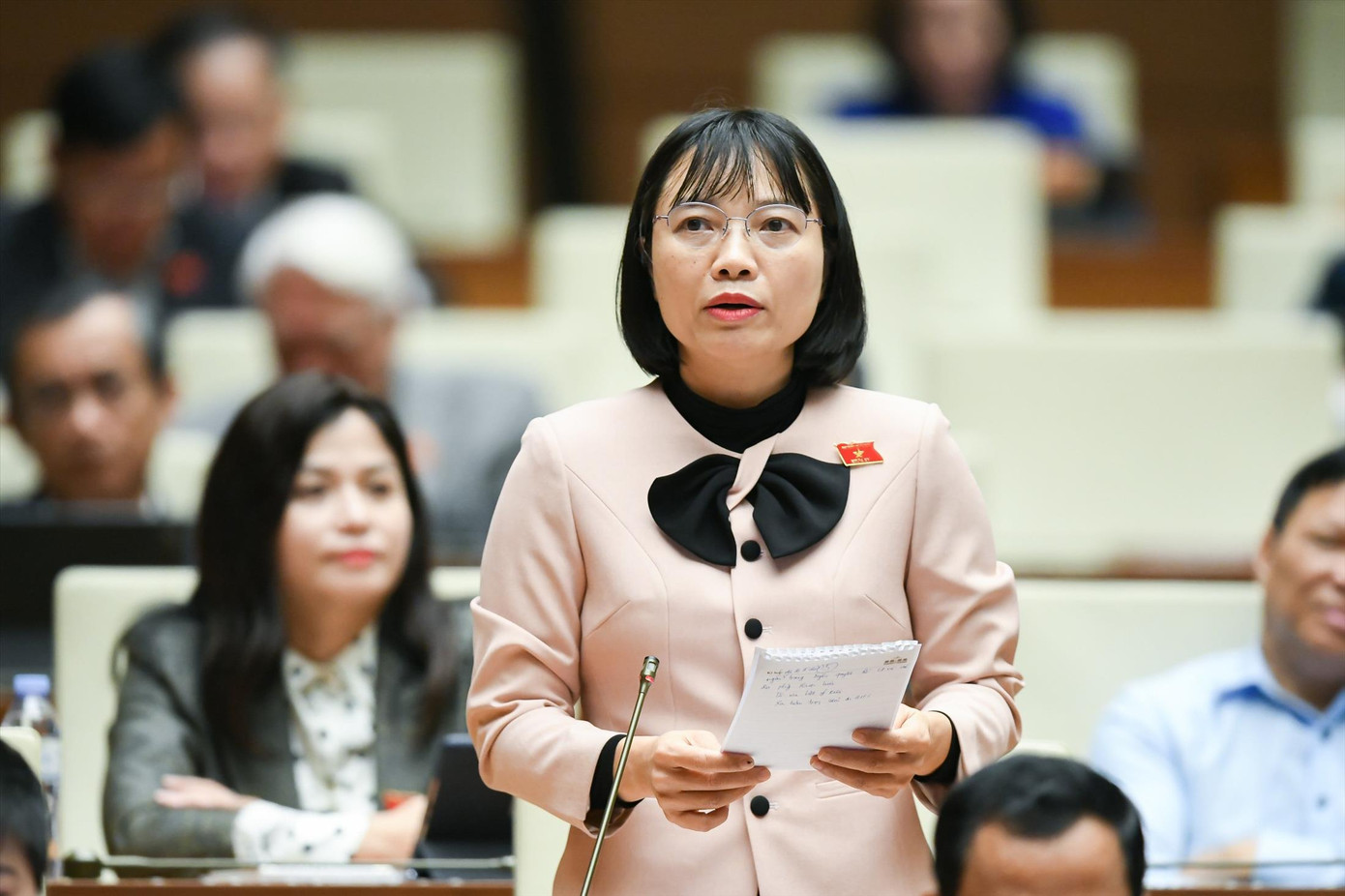 Đại biểu Quốc hội Nguyễn Thị Việt Nga (Đoàn Hải Dương). Đại biểu Quốc hội Nguyễn Thị Việt Nga (Đoàn Hải Dương).