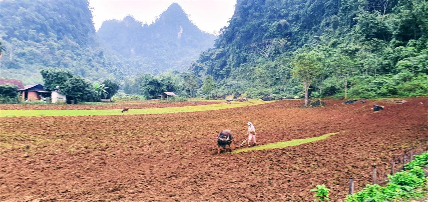 Người Rục thâm canh trên đồng ruộng giữa thung lũng Rục Làn Người Rục thâm canh trên đồng ruộng giữa thung lũng Rục Làn