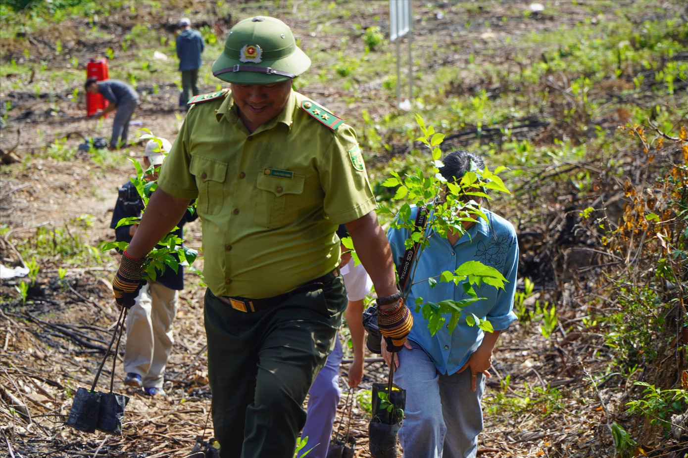 Nhiều chủ rừng với diện tích lớn đồng thuận trồng mới, chuyển đổi cây nguyên liệu gỗ lớn, trồng cây gỗ lớn bản địa để bảo vệ rừng, bảo vệ đa dạng sinh học.