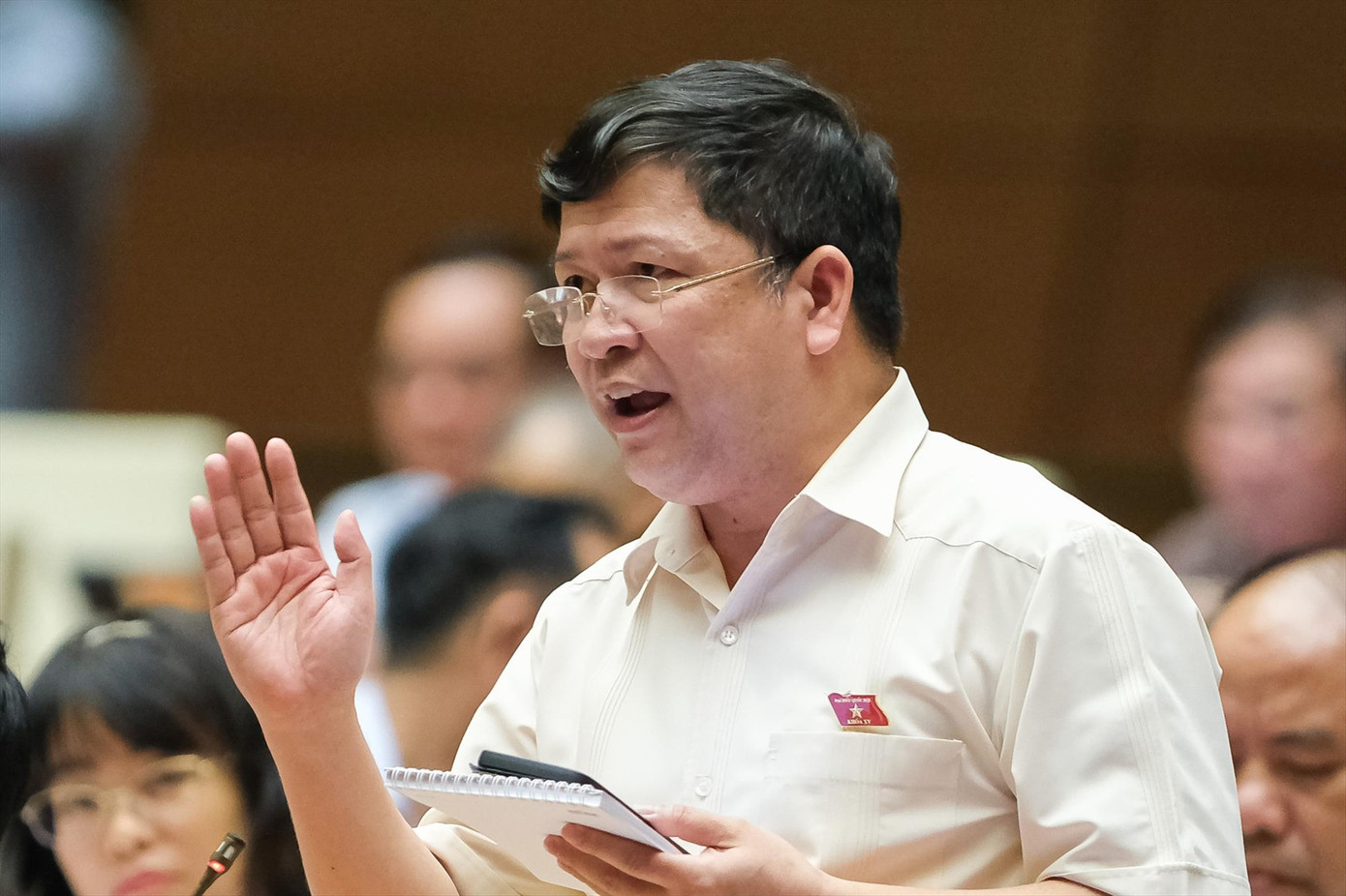 Phó Chủ nhiệm Ủy ban Văn hóa, Giáo dục Tạ Văn Hạ