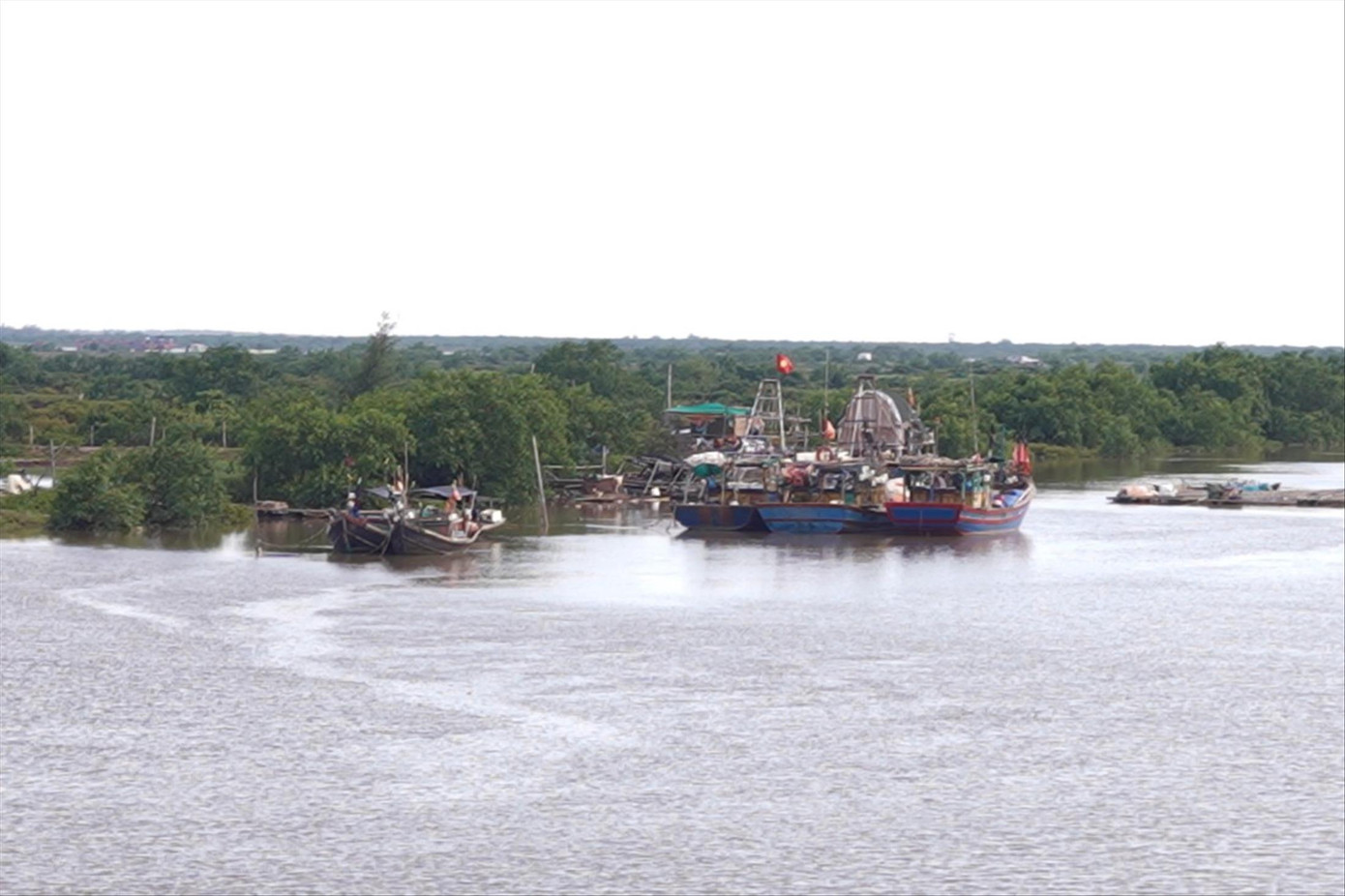 Khu bảo tồn thiên nhiên Tiền Hải bị thu hẹp đến gần 90% diện tích Ảnh: TRƯỜNG HÙNG