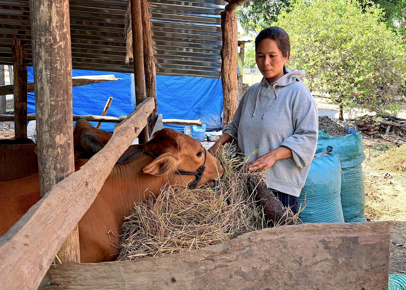Chị Ksor Hmi quanh năm phải đi làm thuê kiếm tiền để trang trải cuộc sống