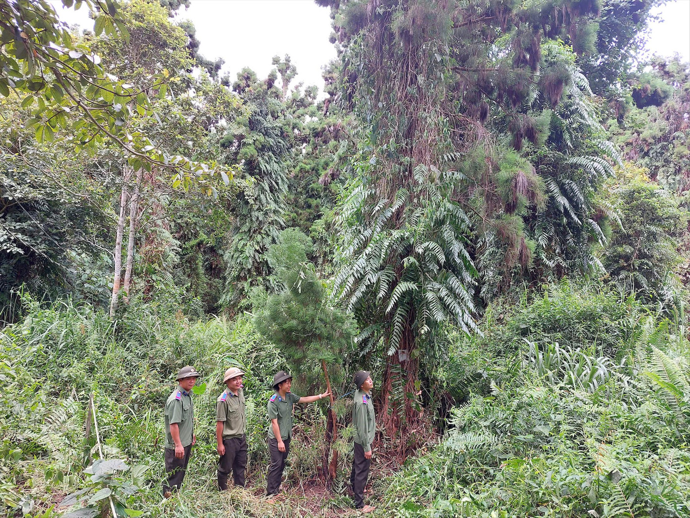 Những ngày lễ, tết cán bộ, nhân viên tuần tra dày đặc hơn.