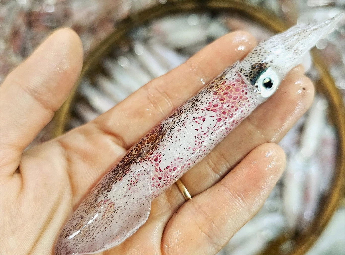 Mực để cuốn rau muống phải chọn loại thật tươi, da còn nhấp nháy.