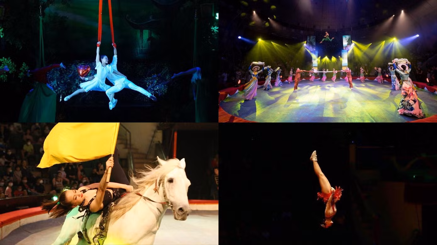 Nghệ sĩ xiếc Lô Thị Ngọc Thúy nổi tiếng với các tiết mục nhào lộn, đu trên cao