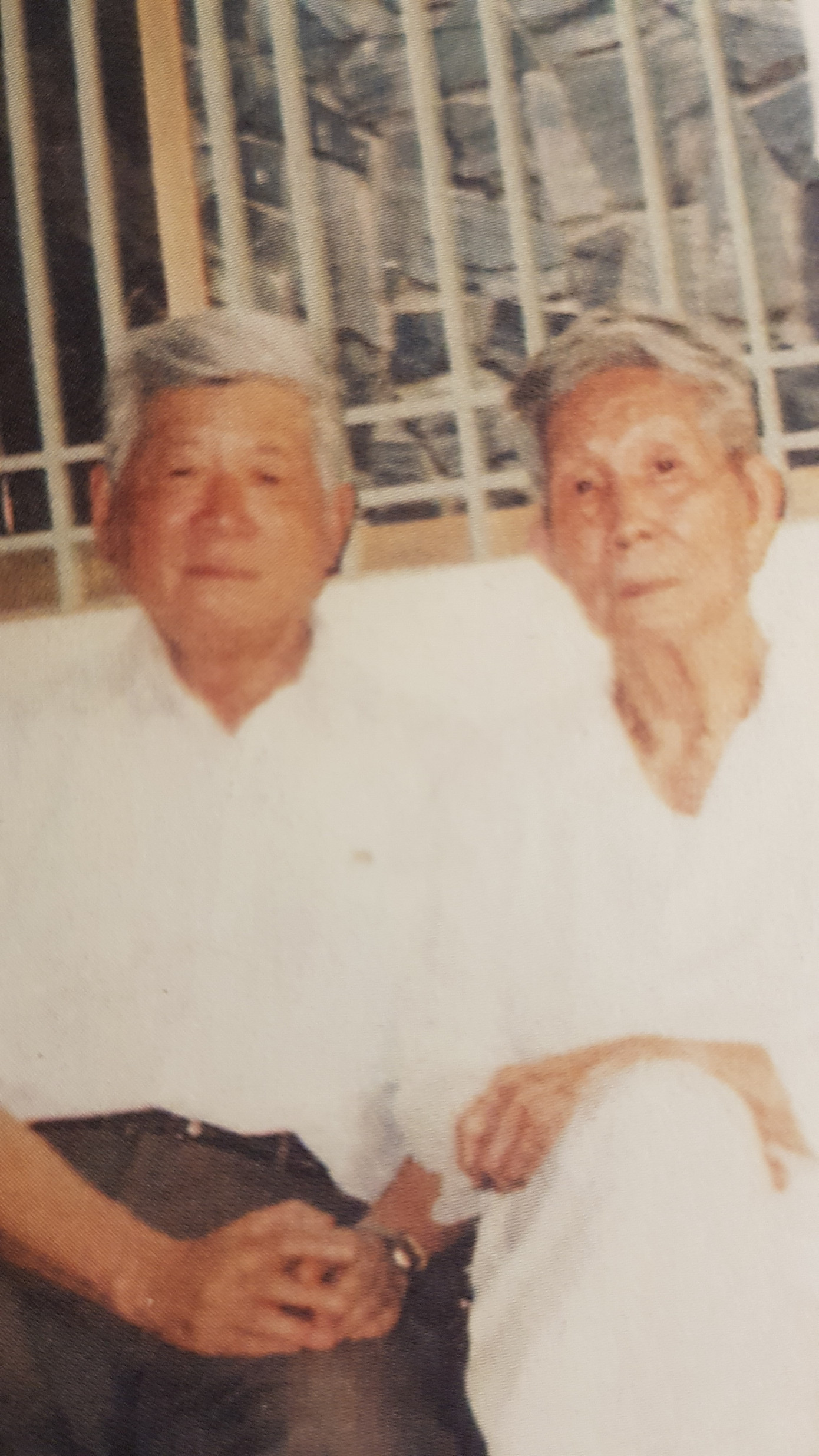 PGS Ninh Viết Giao (trái) và GS Trần Văn Giàu PGS Ninh Viết Giao (trái) và GS Trần Văn Giàu