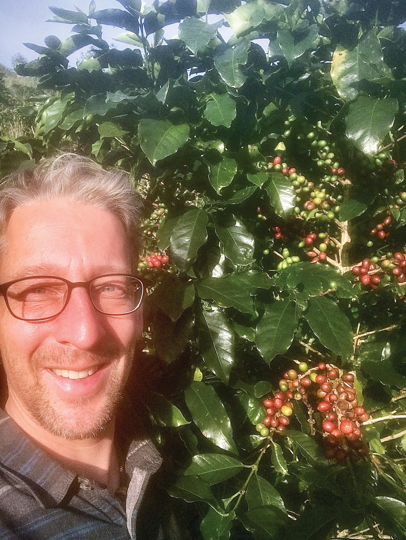 Marc trong vườn cà phê Arabica Marc trong vườn cà phê Arabica