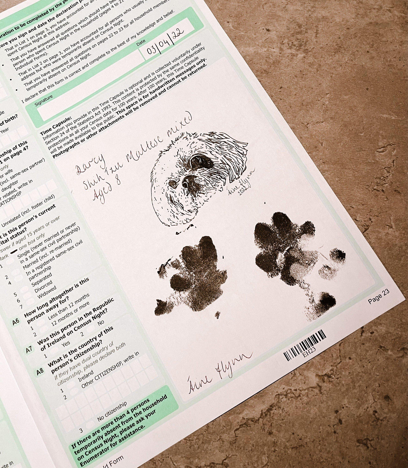 Dấu chân chú chó Darcy của cô Áine Flynn