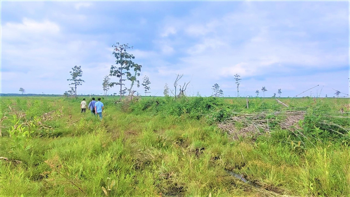 Hình ảnh thực tế tại dự án cải tạo, bảo vệ rừng của Cty Trồng rừng 27/7 Hình ảnh thực tế tại dự án cải tạo, bảo vệ rừng của Cty Trồng rừng 27/7