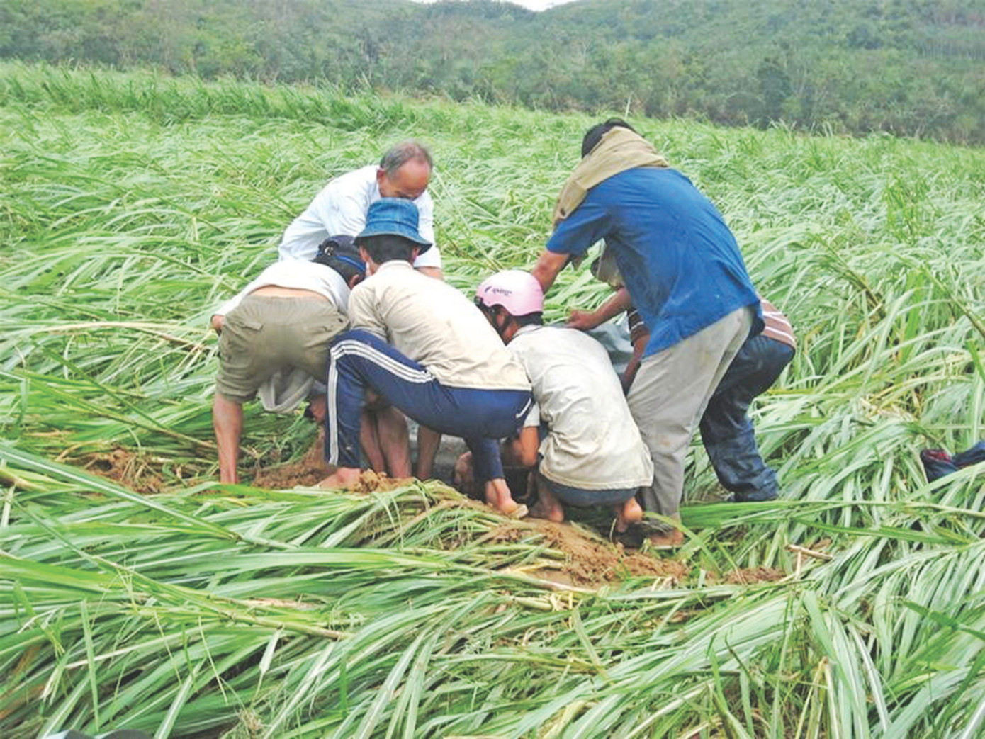 Bới đất đá tìm xác người vùi lấp ở xóm Trường (Phú Yên) năm 2009 Ảnh: Nguyễn Thành