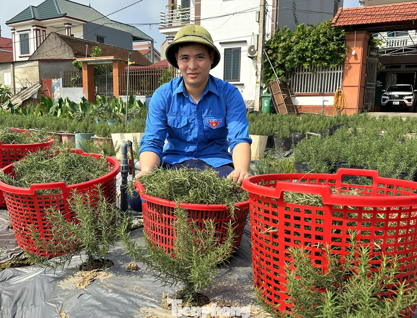 Anh Trần Đình Hùng tại vùng trồng cây nguyên liệu Anh Trần Đình Hùng tại vùng trồng cây nguyên liệu