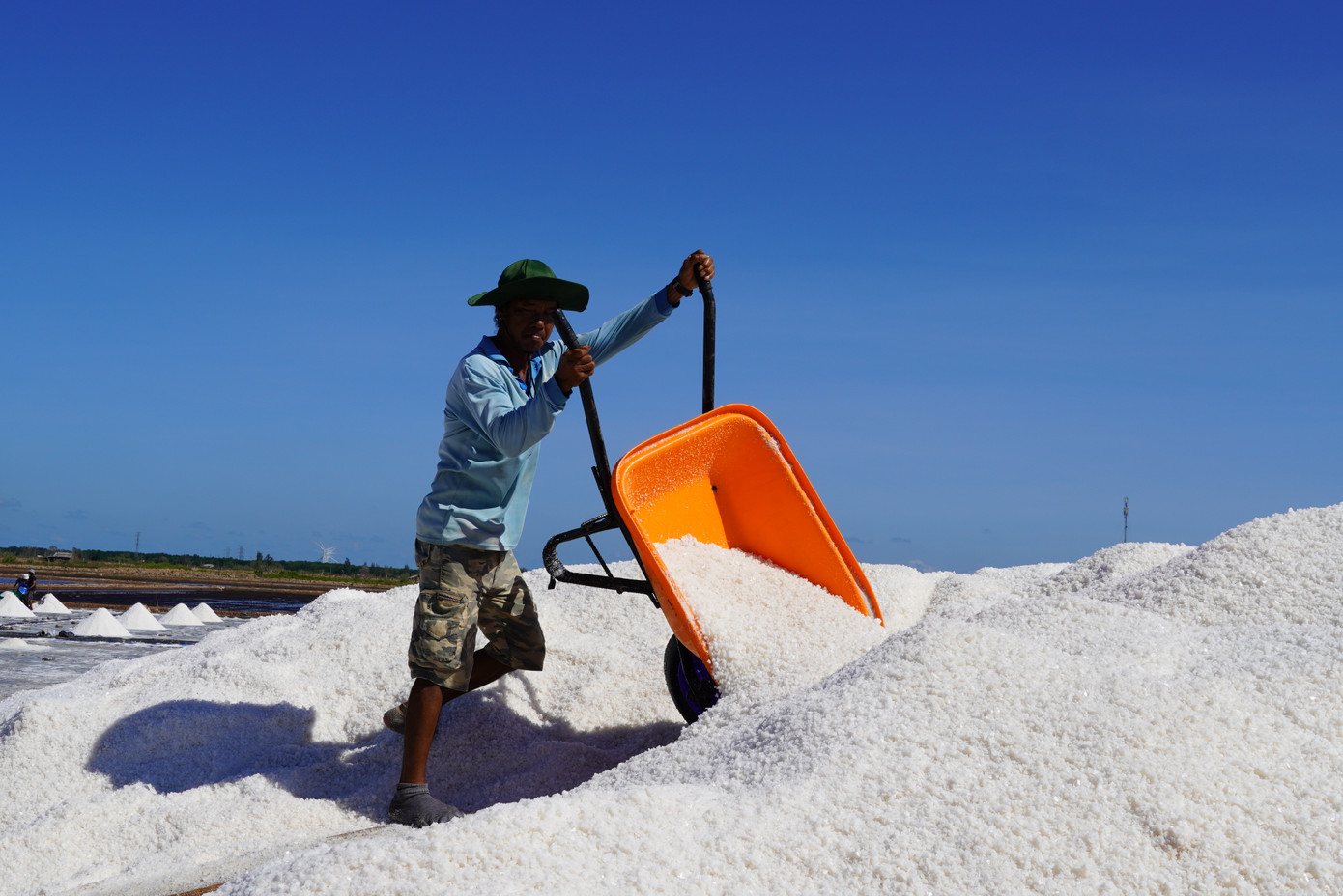 Diêm dân trên đồng muối