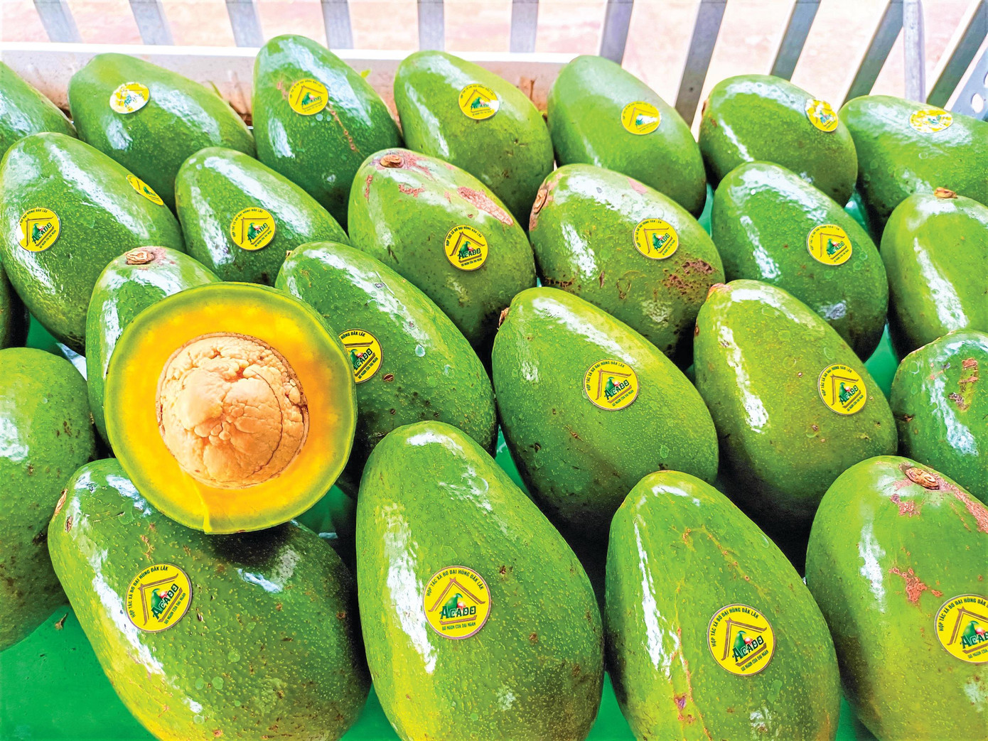 Bơ có thương hiệu vẫn bán được giá cao dù trong mùa dịch COVID-19