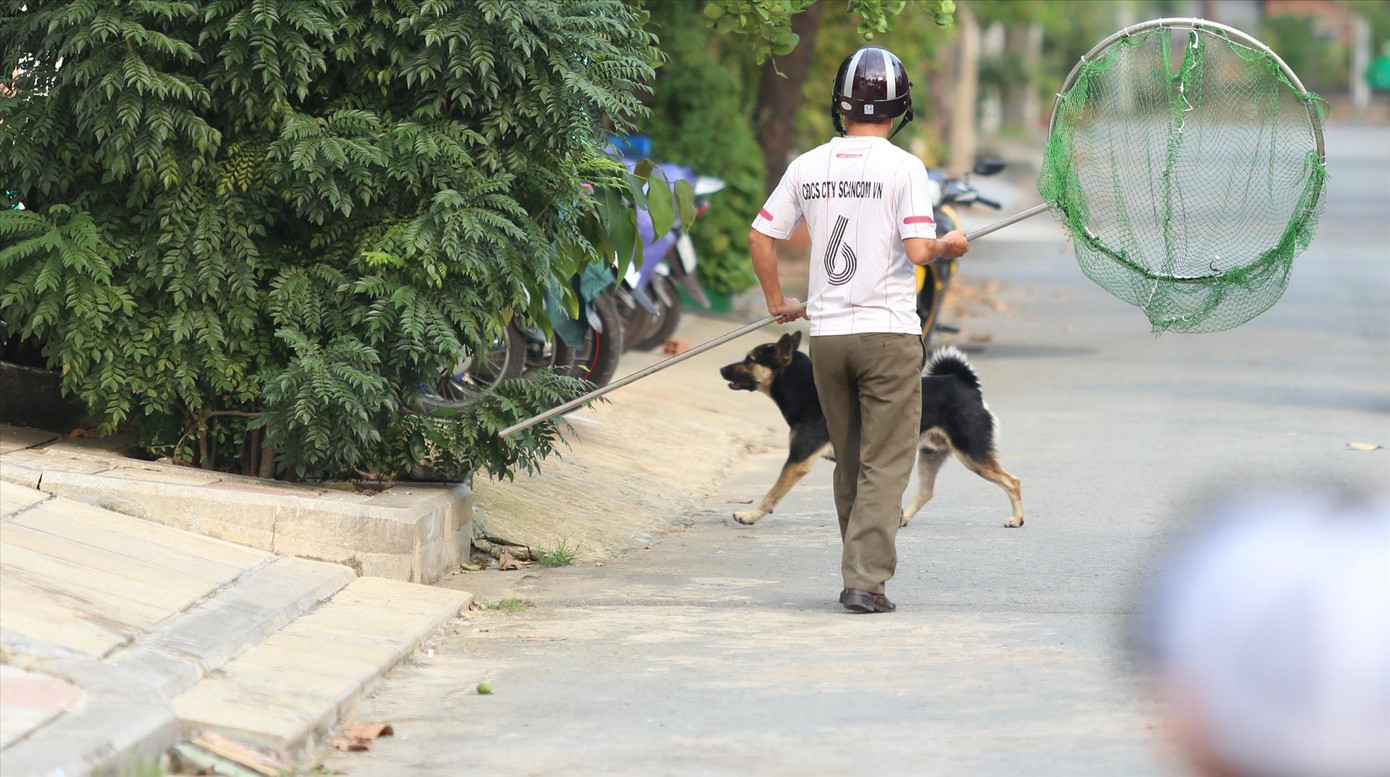 Đội bắt chó thả rông phường Hiệp Bình Chánh (TP Thủ Đức) trong một lần ra quân Ảnh tư liệu: PV