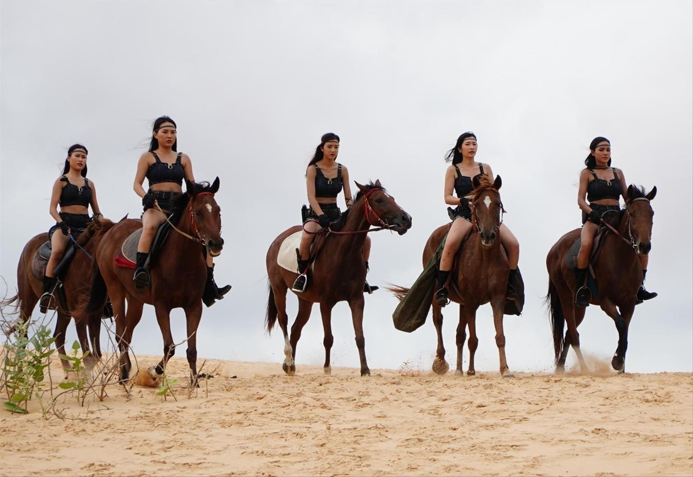 Cảnh nóng cũng không kéo được khán giả đến xem Biệt đội hotgirl Cảnh nóng cũng không kéo được khán giả đến xem Biệt đội hotgirl