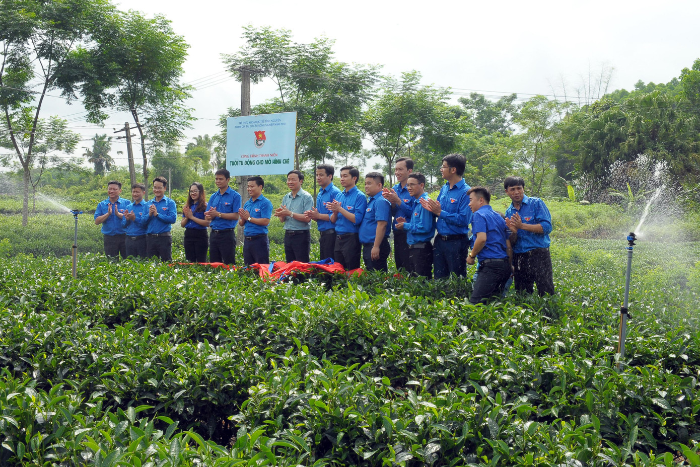 Trí thức trẻ hỗ trợ mô hình trồng chè ở Thái Nguyên Ảnh: Xuân Tùng