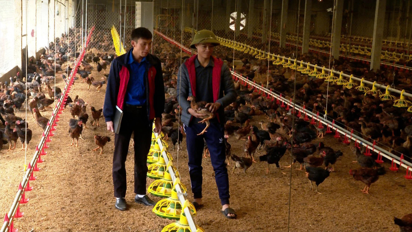 Anh Nguyễn Văn Tám (bên trái) và mô hình chăn nuôi gà tự động Ảnh: Thu Trang