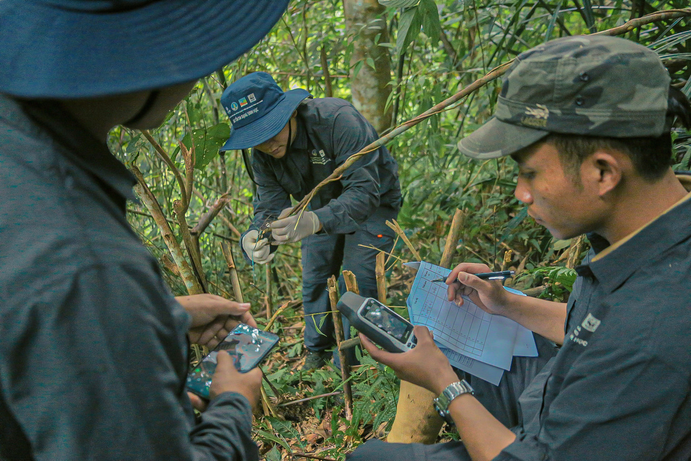 Đội tuần tra tháo gỡ bẫy xuyên rừng. Ảnh: Duy Quốc Đội tuần tra tháo gỡ bẫy xuyên rừng. Ảnh: Duy Quốc