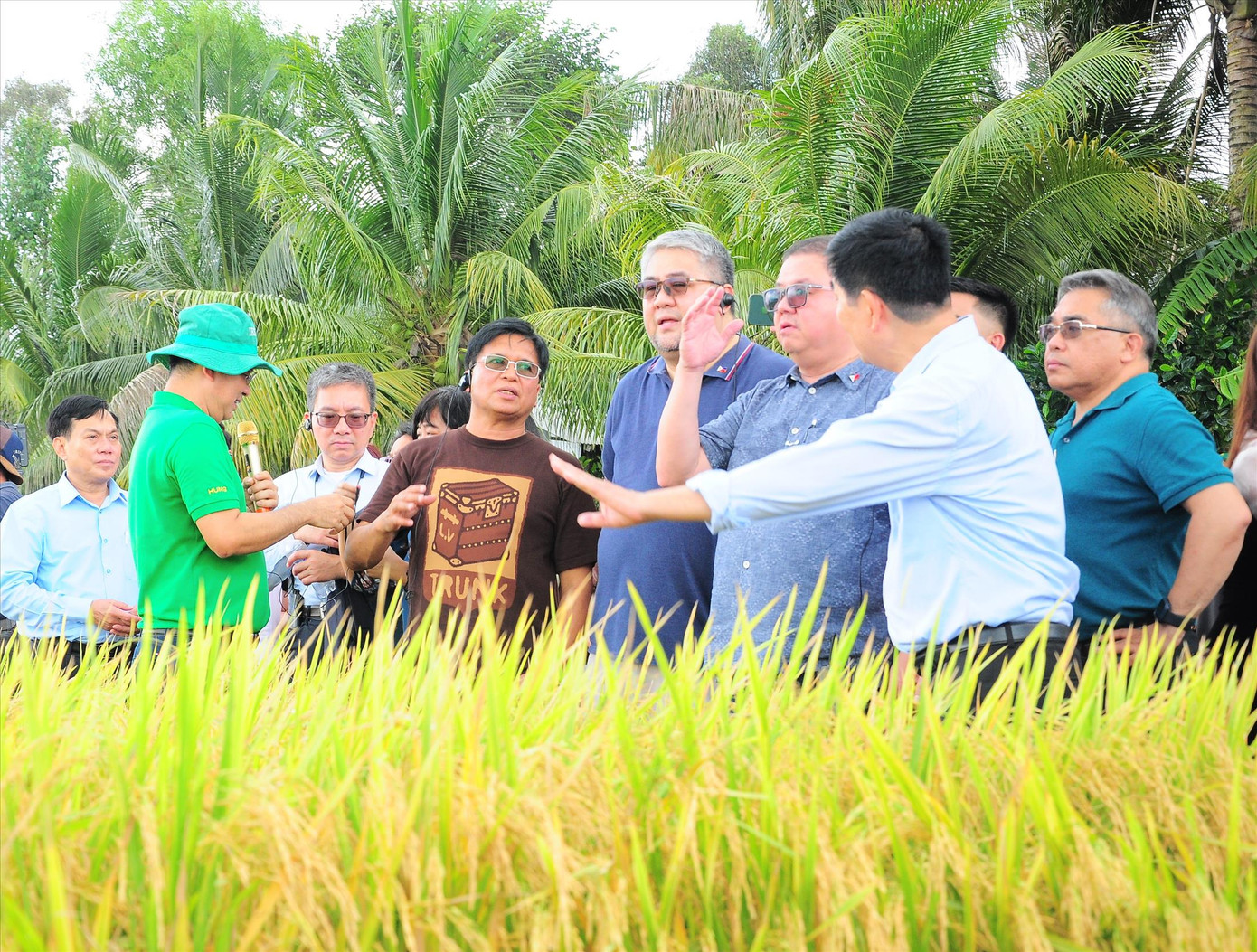Đoàn công tác Bộ Nông nghiệp Philippines tham quan mô hình thí điểm Đề án 1 triệu ha lúa ẢNH: CẢNH KỲ Đoàn công tác Bộ Nông nghiệp Philippines tham quan mô hình thí điểm Đề án 1 triệu ha lúa ẢNH: CẢNH KỲ