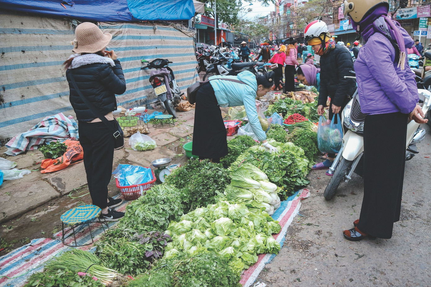Xứ nhiệt đới, rau mùa đông cũng nhiều: cải bắp, cải xoong, cải thảo, xà lách mua 10.000 đồng là đủ ăn cả ngày