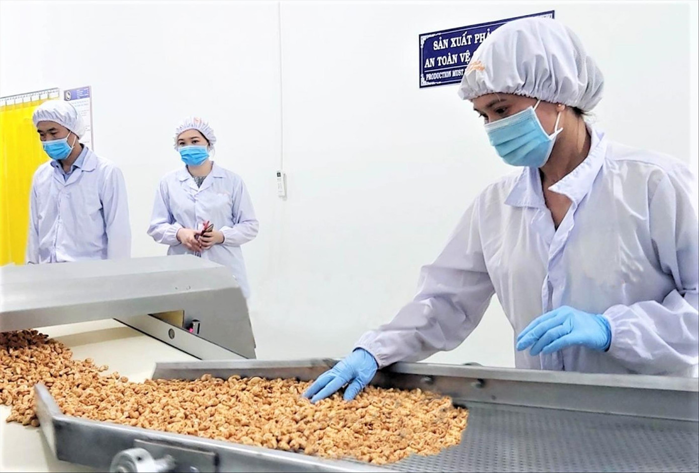 Công nhân sản xuất điều tại doanh nghiệp ở Bình Phước Ảnh: H.C Công nhân sản xuất điều tại doanh nghiệp ở Bình Phước Ảnh: H.C