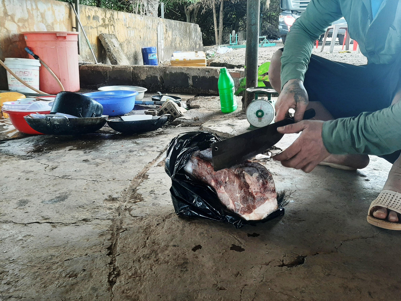 Thịt heo rừng trữ đông được chặt khúc ra bán cho khách Thịt heo rừng trữ đông được chặt khúc ra bán cho khách