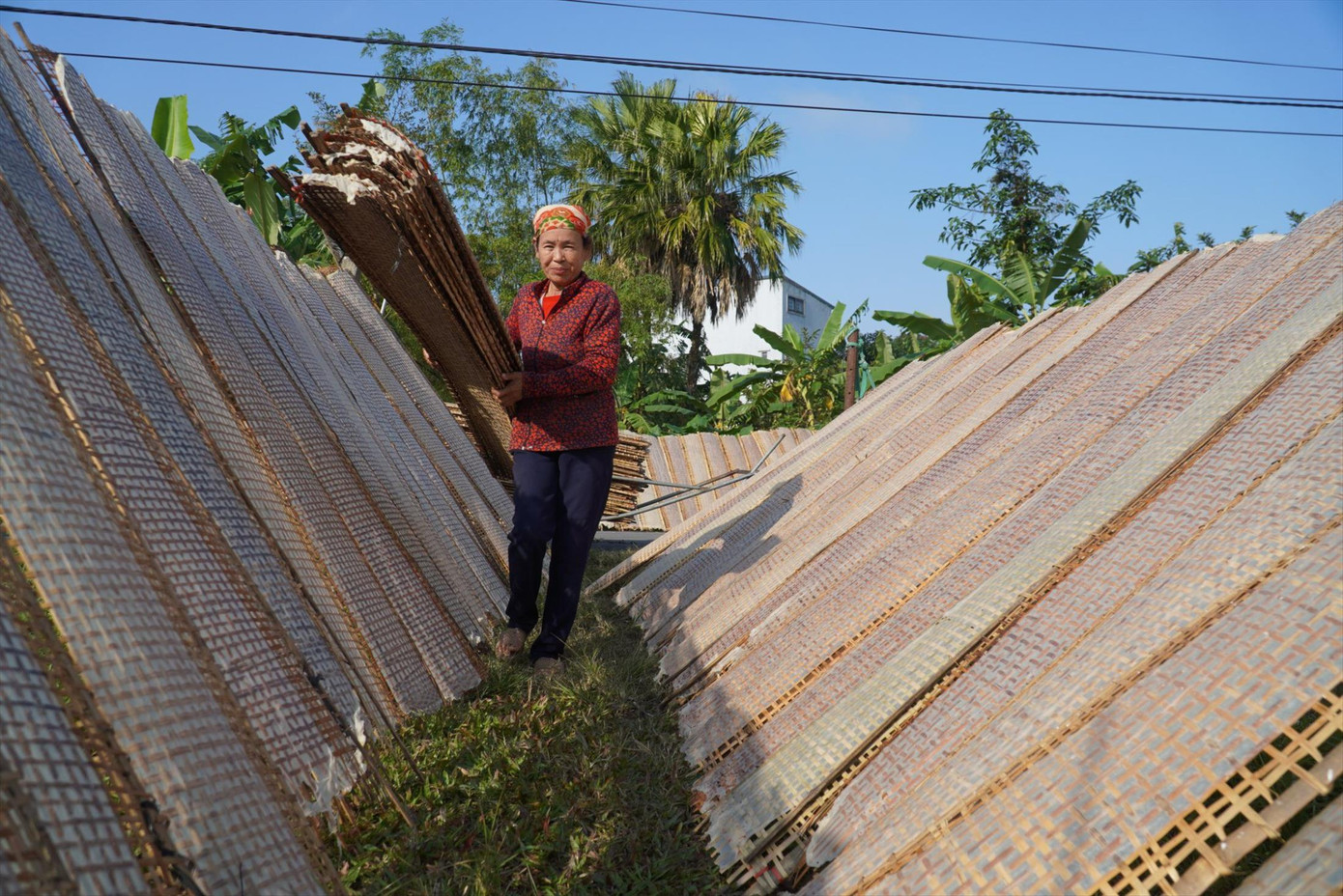 Làng nghề làm bánh đa nem ở Hà Tĩnh tất bật vào vụ Tết