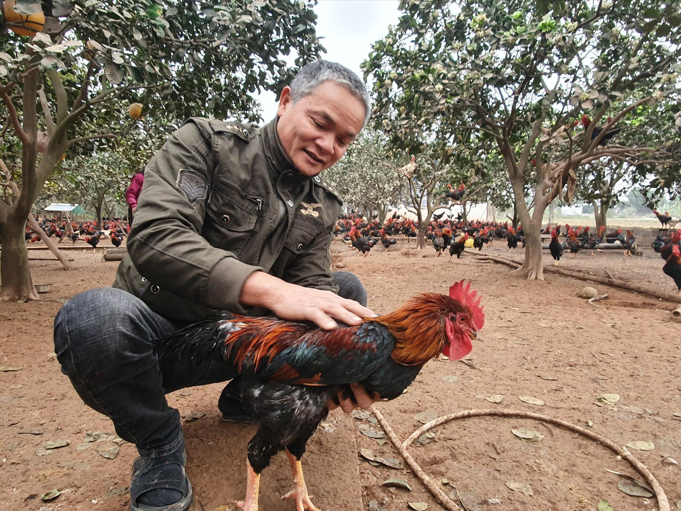 Ông chủ trại gà “tiến vua” Đặng Văn Thuyết