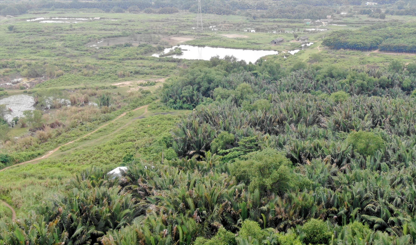 Dự án khu dân cư dịch vụ theo quy hoạch tại xã An Phước, huyện Long Thành, tỉnh Đồng Nai do Công ty Minh Thành làm chủ đầu tư. Đây là nguồn cơn khiến Công ty Kim Oanh tố cáo bố con ông Trần Quí Thanh Dự án khu dân cư dịch vụ theo quy hoạch tại xã An Phước, huyện Long Thành, tỉnh Đồng Nai do Công ty Minh Thành làm chủ đầu tư. Đây là nguồn cơn khiến Công ty Kim Oanh tố cáo bố con ông Trần Quí Thanh