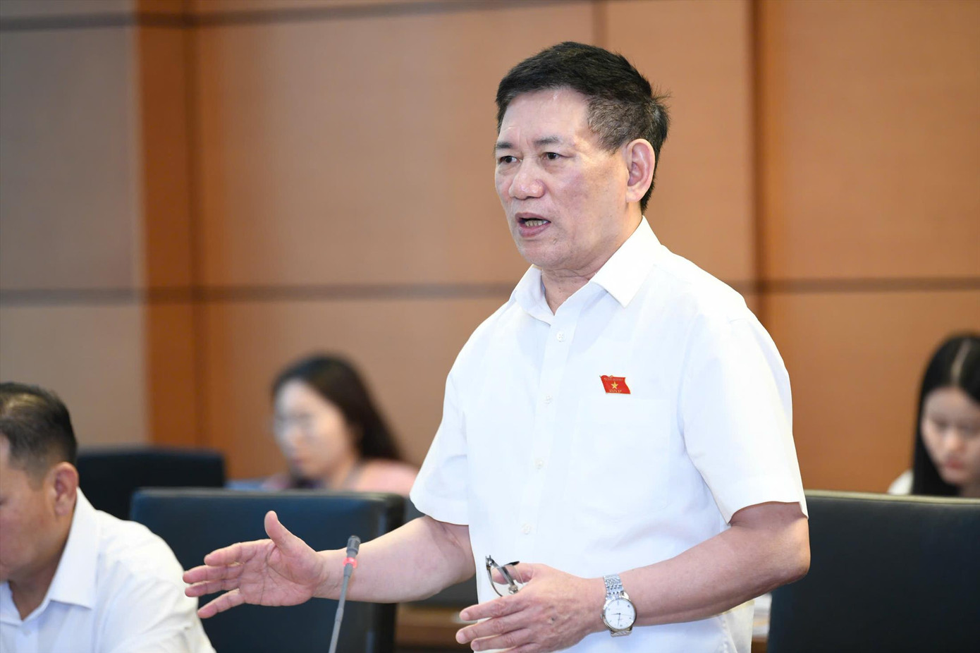 Phó Thủ tướng Hồ Đức Phớc phát biểu tại phiên thảo luận