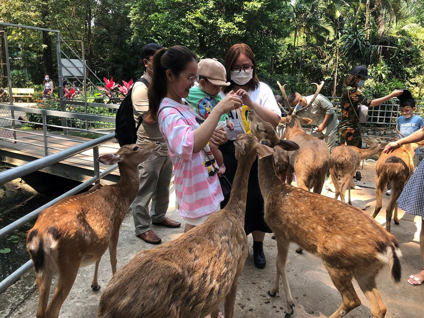 Đi du lịch theo nhóm nhỏ, ngắn ngày “lên ngôi” mùa dịch (ảnh tại công ty du lịch TST) Đi du lịch theo nhóm nhỏ, ngắn ngày “lên ngôi” mùa dịch (ảnh tại công ty du lịch TST)