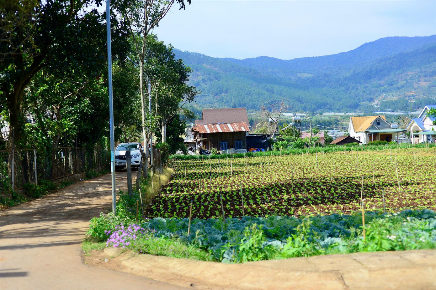 Thôn Đarahoa hiện có hơn 80% là đồng bào dân tộc K’Ho.