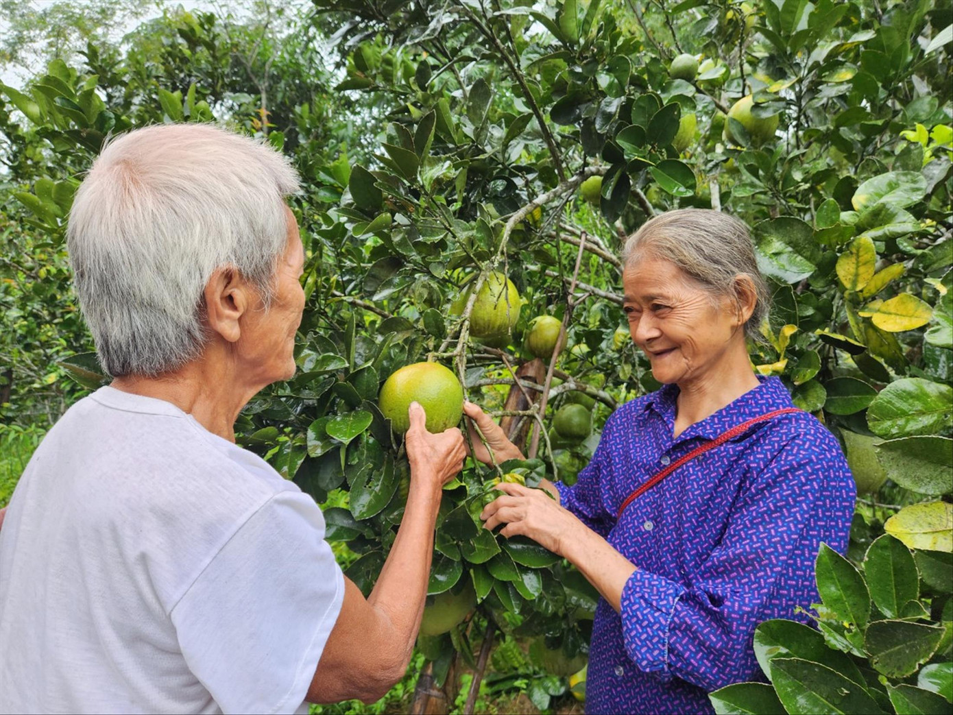 Sau khi có nhà mới, gia đình cựu chiến binh Phương Văn Phín có cuộc sống ấm no hơn. Ảnh: Duy Chiến Sau khi có nhà mới, gia đình cựu chiến binh Phương Văn Phín có cuộc sống ấm no hơn. Ảnh: Duy Chiến