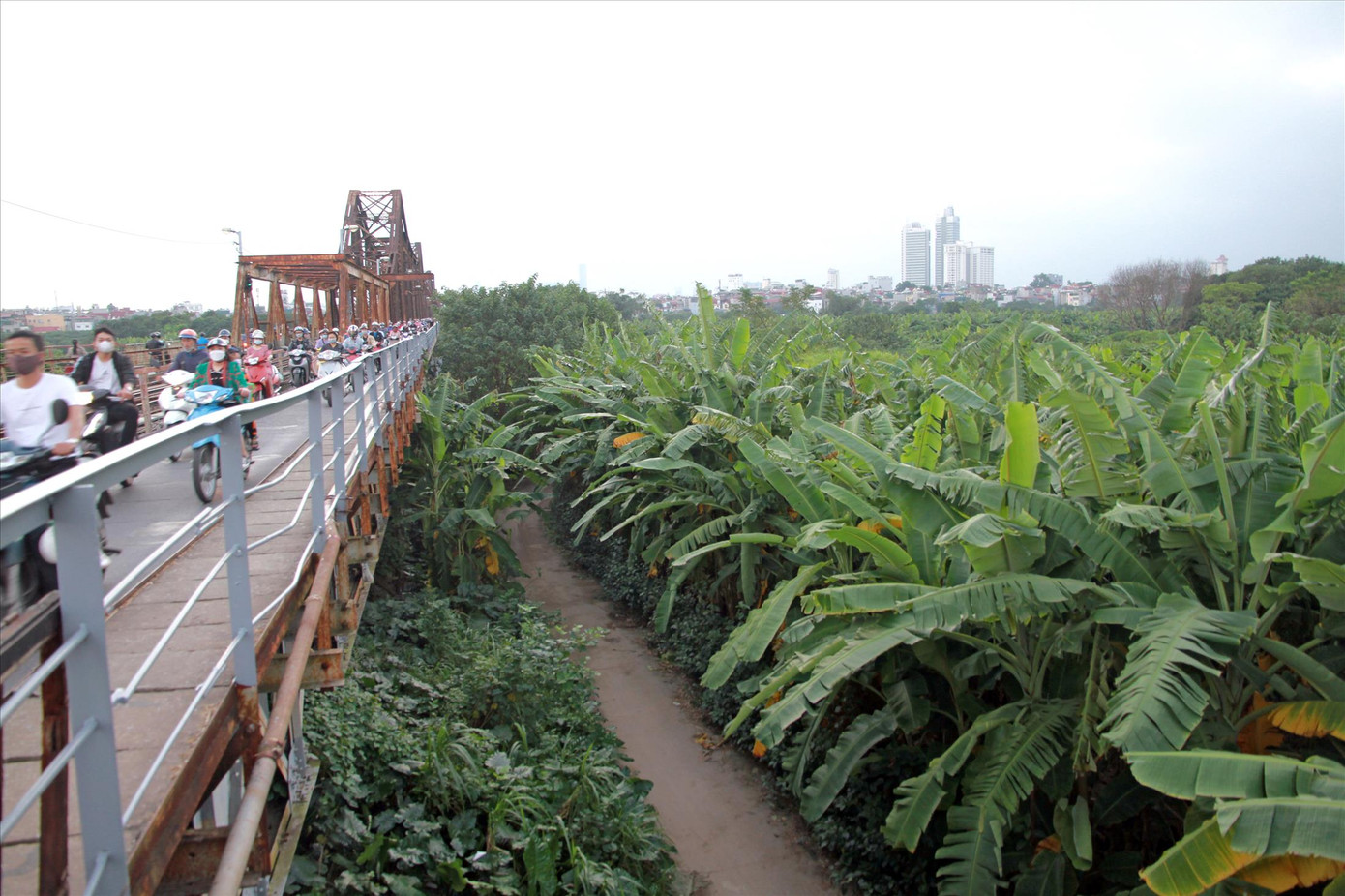 Một phần bãi giữa sông Hồng nhìn từ cầu Long Biên. Ảnh: N.M.HÀ Một phần bãi giữa sông Hồng nhìn từ cầu Long Biên. Ảnh: N.M.HÀ