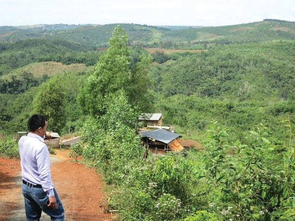 Khu đất rừng 135 được UBND huyện Đắk Song cấp sổ đỏ cho vợ chồng ông Nguyễn Thanh Sơn Ảnh: CÔNG HOAN Khu đất rừng 135 được UBND huyện Đắk Song cấp sổ đỏ cho vợ chồng ông Nguyễn Thanh Sơn Ảnh: CÔNG HOAN