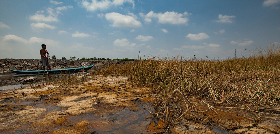 Tình trạng hạn mặn của Đồng bằng sông Cửu Long có thể sẽ ngày càng nghiêm trọng. Ảnh: Geopolitical Monitor