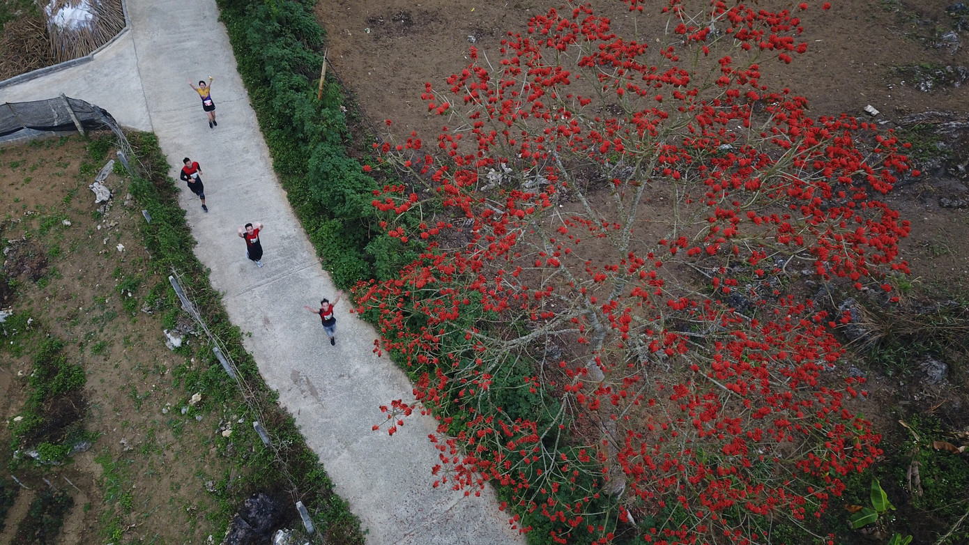 Cung đường chạy đẹp như mơ của Tiền Phong Marathon 2023. Cung đường chạy đẹp như mơ của Tiền Phong Marathon 2023.