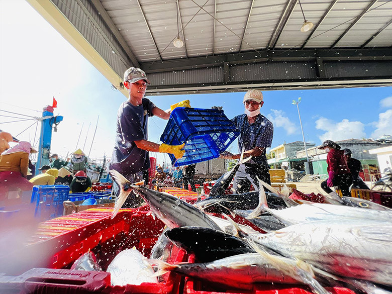 Phấn khởi khi cá đầy khoang