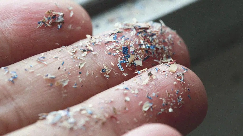 Vi hạt nhựa gây ảnh hưởng nghiêm trọng đến sinh sản nam giới Vi hạt nhựa gây ảnh hưởng nghiêm trọng đến sinh sản nam giới